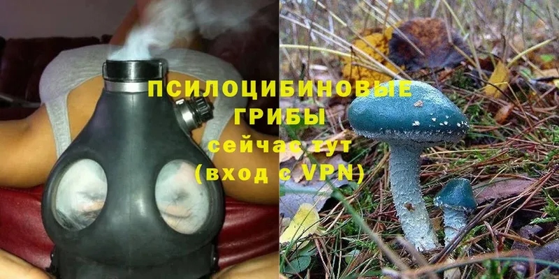 Галлюциногенные грибы MAGIC MUSHROOMS  KRAKEN онион  Истра  купить наркотики сайты 